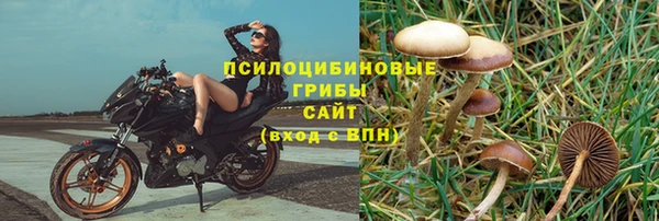 тгк Армянск