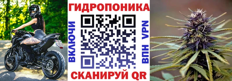 OMG как войти  Багратионовск  МАРИХУАНА марихуана 